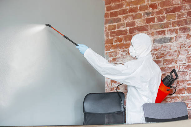 Best Mold Prevention Services  in Dickson, TN