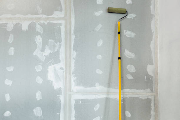 Best Mold Damage Restoration  in Dickson, TN