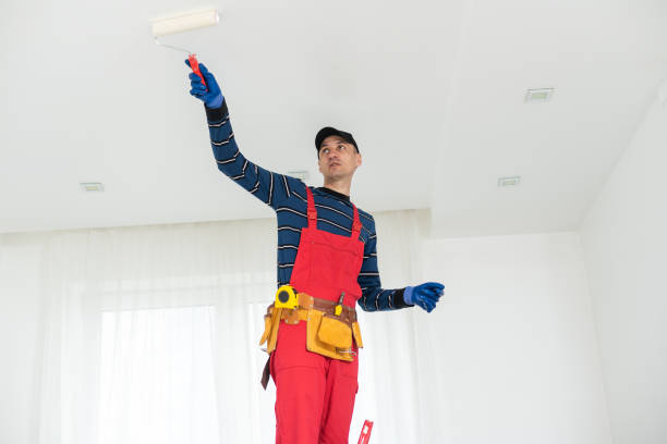 Best Emergency Mold Remediation  in Dickson, TN